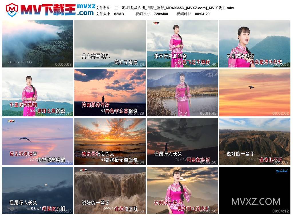 王二妮-月是故乡明_国语_流行_MD403653